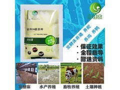 发酵床菌种,饲料添加剂,预混合饲料,微生态制剂_绿康奥生物科技