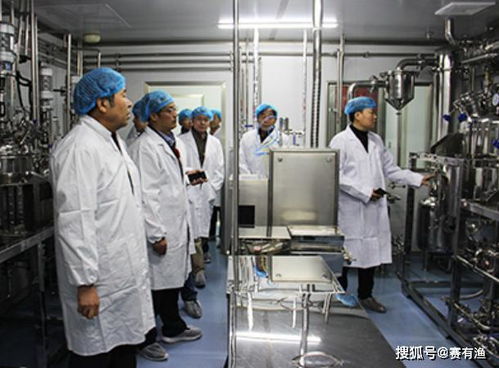 2020年什么生意最赚钱 赛有渔助你一夜爆富