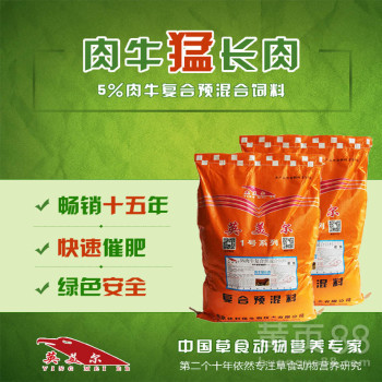 育肥牛几个月出栏,牛增重饲料
