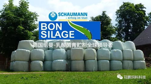 北京三元 天津嘉立荷 使用德国绍曼青贮添加剂产品 保时青 对青贮饲料发酵质量及生产性能影响的报告 1 2