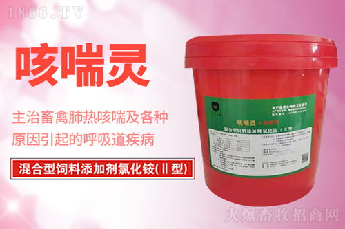 冬季鸡呼吸道现象频发,呼吸困难 甩头 怪叫 养鸡人如何防治