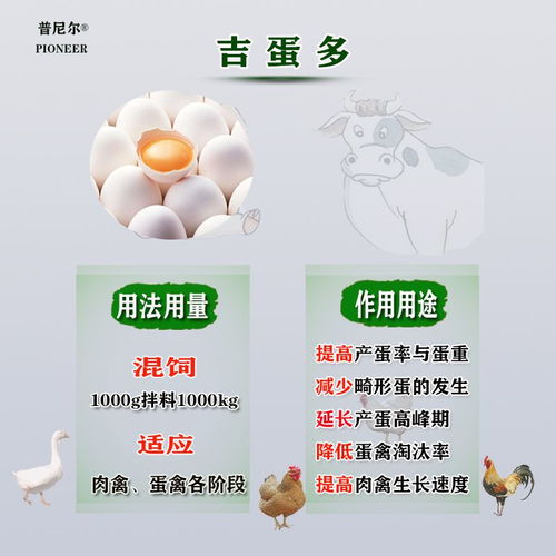 兽用吉蛋多鸡饲料添加剂 兽用维生素促长增蛋禽畜鸡鸭鹅增强产蛋