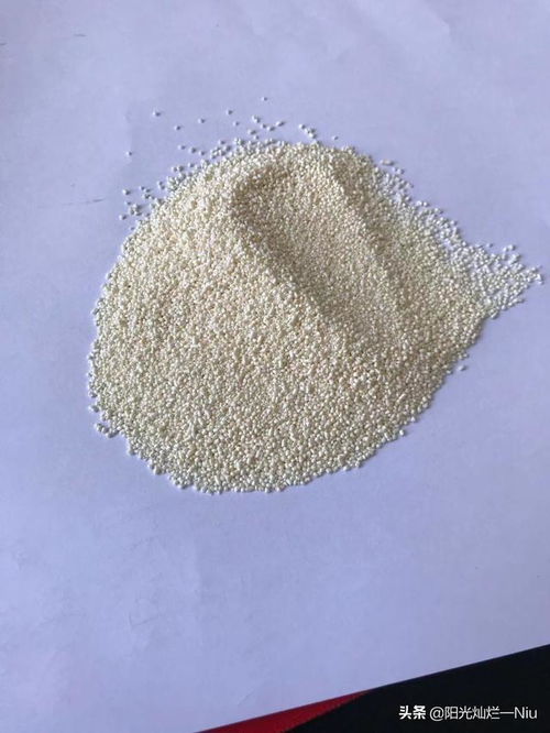 太震惊了 北京绿色天宝饲料添加剂 包膜胍基乙酸 去油增重 月多长